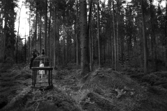 Conte-badreamcage
