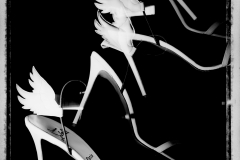 Nature Morte - Shoes-Louboutin-ailes